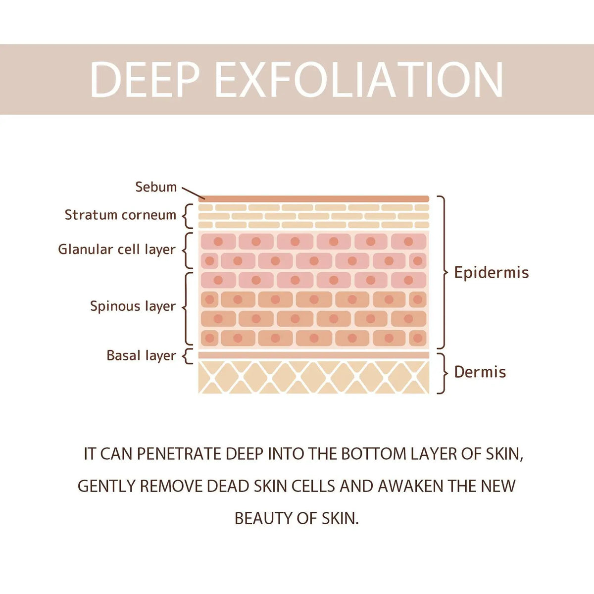 Exfoliating Gel: Skin Gentle Cleansing, Pores Rejuvenation, Blackhead & Acne Control